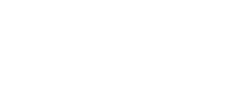white outline of car icon